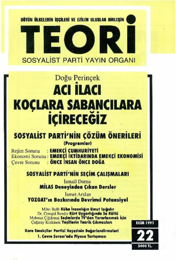 Teori 22 - Ekim 1991