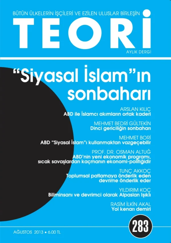 SİYASAL İSLAM'IN SONBAHARI | Teori Ağustos 2013