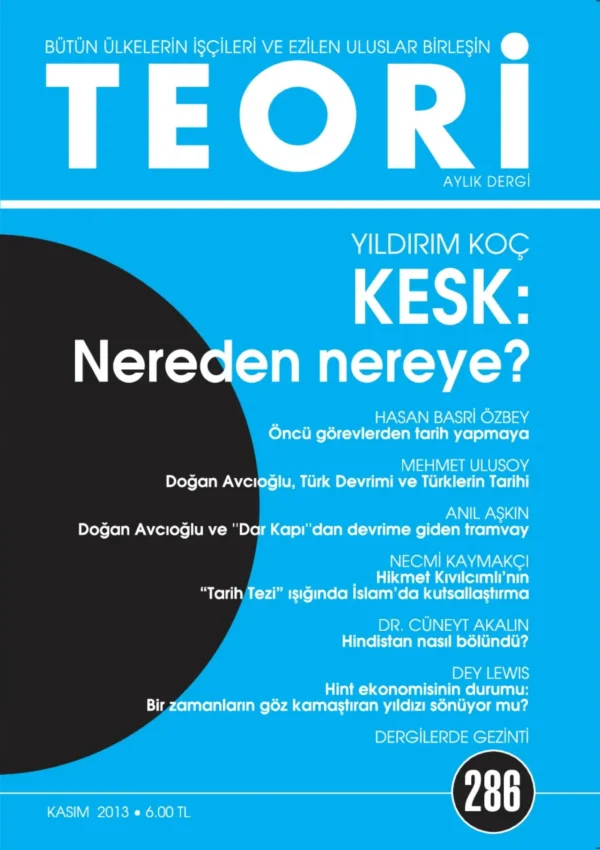 KESK NEREDEN NEREYE? | Teori Kasım 2013