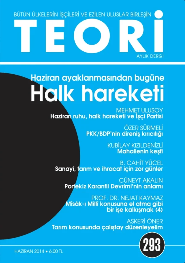 Teori 293 - Haziran 2014